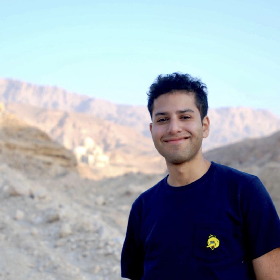 Hesham Mashhour